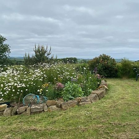 Wheelhouse - Grinkle Bell Cottage Saltburn-by-the-Sea Exterior foto