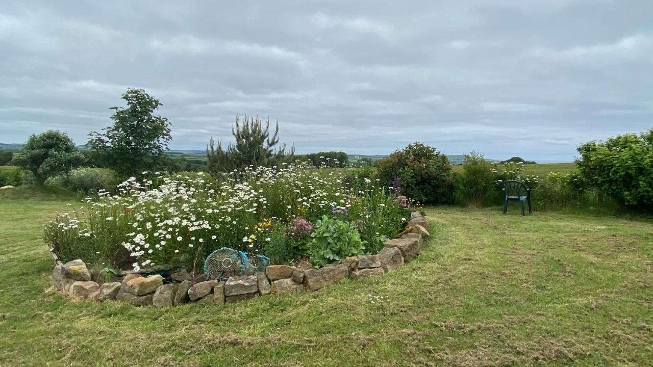 Wheelhouse - Grinkle Bell Cottage Saltburn-by-the-Sea Exterior foto